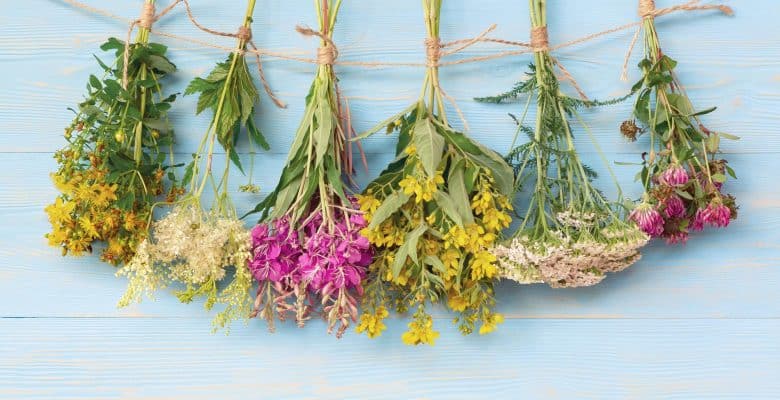 How to Dry Flowers for Resin in 5 Minutes in 2023  Dried flowers,  Different kinds of flowers, How to preserve flowers