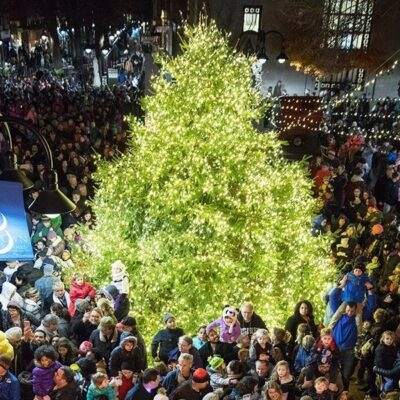 Charlottesville Grand Illumination tree
