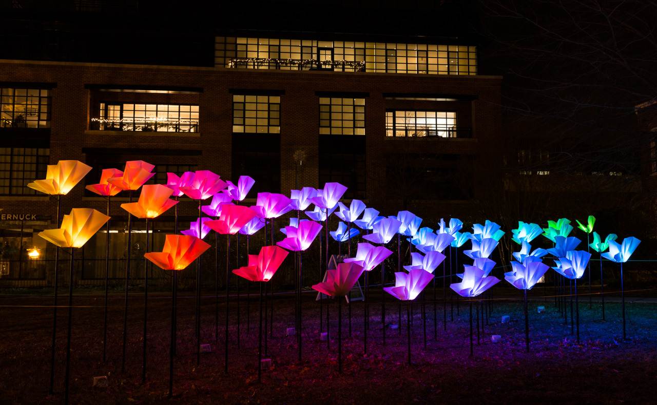 An arrangemnet of flower sculptures glow a rainbow of colors at night for a Christmas light display in Washington D.C.