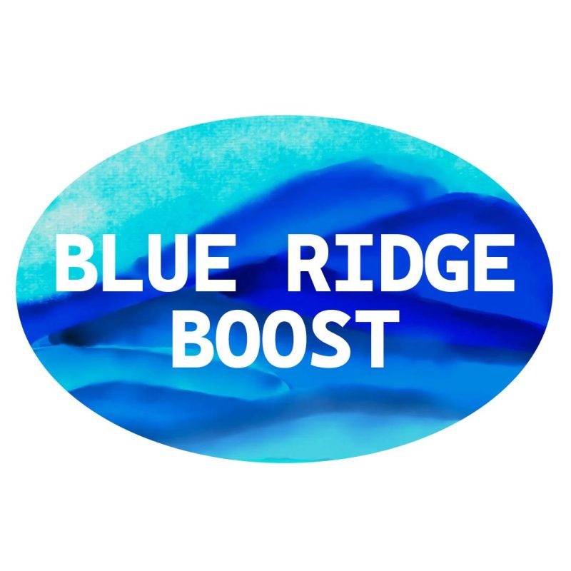 BLUE RIDGE BOOST logo diy-05