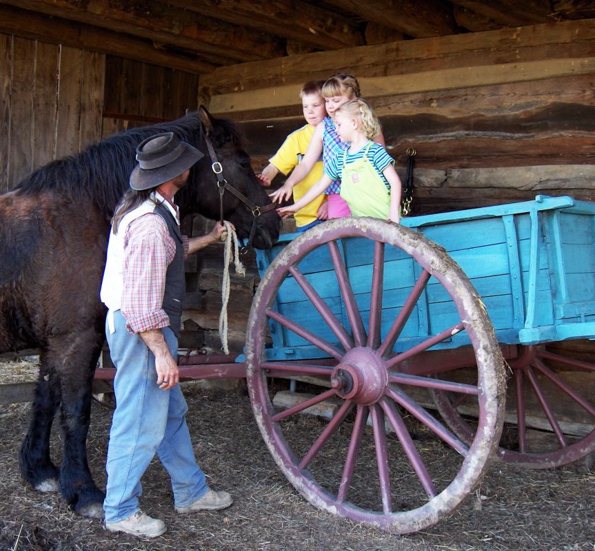 Kids in a barn standing in a horse wagon and petting a horse