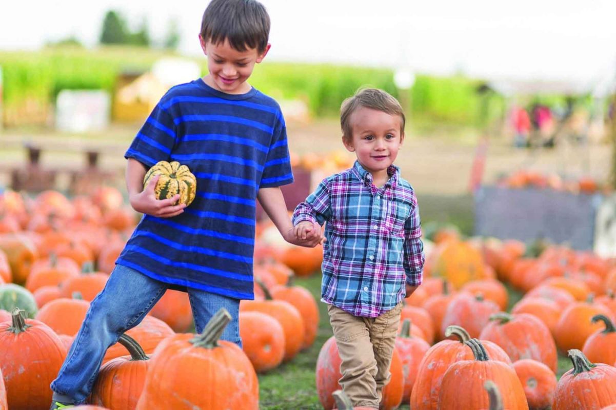 Two brothers walk through a pumpkin patch while holding hands
