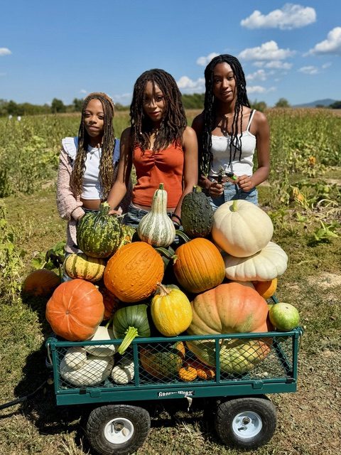 Boston family picking pumpkins at Middle River Farm